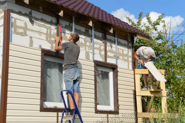 Best Brick Veneer Siding  in Dawsonville, GA